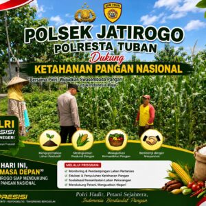 Kawal Swasembada Pangan, Polsek Jatirogo Pantau Langsung Tanaman Jagung di Kebonharjo