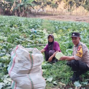 BHABINKAMTIBMAS DESA TEKASIRE DORONG WARGA MANFAATKAN LAHAN PEKARANGAN UNTUK DUKUNG KETAHANAN PANGAN