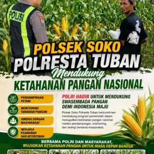 Polsek Soko Polresta Tuban Turun Langsung Cek Tanaman Jagung Warga