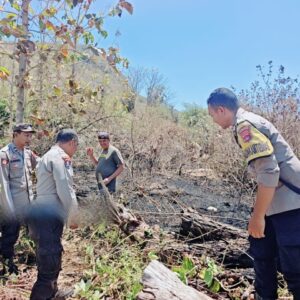 Sigap Tangani Karhutla di Labuhan Alas, Personel Polsek Alas Bersama Damkar dan Warga Padamkan Lahan Kosong