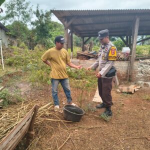 Apresiasi Warga Produktif, Bhabinkamtibmas Desa Labangka Cek Pekarangan Pangan Lestari Warga
