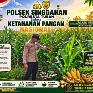 Anggota Polsek Singgahan Polresta Tuban Turun Cek Tanaman jagung Warga di Desa Lajo loratis