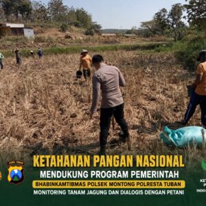 Polsek Montong Polresta Tuban Turun Cek Tanaman jagung Warga di Desa Bringin