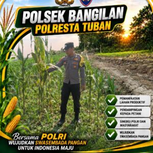 Polsek Bangilan Aktif Dukung Ketahanan Pangan melalui Monitoring Tanaman Jagung