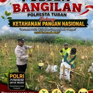 Polsek Bangilan Monitoring Panen Jagung, Dukung Ketahanan Pangan Nasional