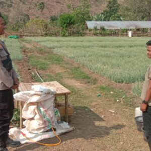Bhabinkamtibmas Desa Rababaka Sambangi Warga, Ajak Dukung Program Pemerintah dan Jaga Produktivitas Bawang Merah