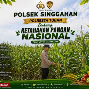 Anggota Polsek Singgahan Polresta Tuban Turun Cek Tanaman jagung Warga di Desa Tingkis