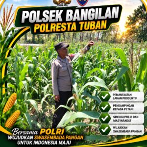Bhabinkamtibmas Polsek Bangilan Monitoring Tanaman Jagung, Dukung Ketahanan Pangan