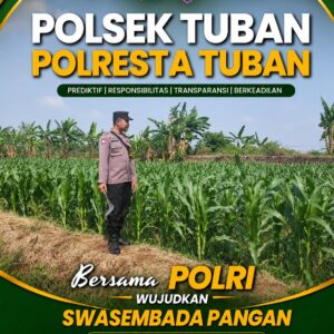 Polsek Tuban Pantau Lahan Jagung, Dukung Ketahanan dan Swasembada Pangan Nasional