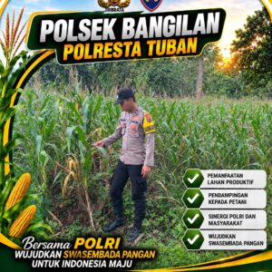 Bhabinkamtibmas Polsek Bangilan Pantau Tanaman Jagung, Dukung Ketahanan Pangan