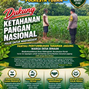 PANTAU PERTUMBUHAN JAGUNG, POLSEK KEREK POLRESTA TUBAN DUKUNG KETAHAN PANGAN NASIONAL