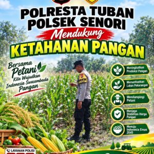 Bhabinkamtibmas Polsek Senori Pantau Tanaman Jagung Warga Desa Jatisari Dukung Ketahanan Pangan