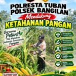 Polsek Bangilan Dukung Ketahanan Pangan Melalui Monitoring Tanaman Jagung