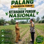 Dukung Astacita, Polsek Palang Polresta Tuban Pantau Langsung Lahan Jagung milik warga Desa Glodog