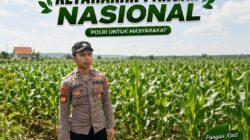 Anggota Polsek Singgahan Polresta Tuban Turun Cek Tanaman jagung Warga di Desa Lajo Lor