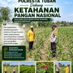 DALAM RANGKA MENDUKUNG PROGRAM ASTACITA, BHABINKAMTIBMAS DESA KUMPULREJO POLSEK PARENGAN POLRESTA TUBAN SAMBANGI PETANI JAGUNG DI DESA KUMPULREJO GUNA DUKUNG KETAHANAN PANGAN.