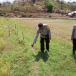 Seorang Petani di Moyo Hilir Meninggal Dunia Akibat Tersengat Aliran Listrik di Area Persawahan