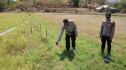 Seorang Petani di Moyo Hilir Meninggal Dunia Akibat Tersengat Aliran Listrik di Area Persawahan