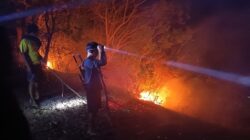 Api Melalap Bukit Tangkok Koe, Tim Gabungan Bergerak