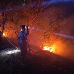 Api Melalap Bukit Tangkok Koe, Tim Gabungan Bergerak