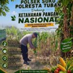 Polsek Soko Polresta Tuban Turun Langsung Cek Tanaman Jagung Warga