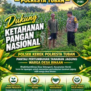 “Bhabinkamtibmas Desa Sidonganti Pantau Pertumbuhan Tanaman Jagung Warga Desa Binaan”