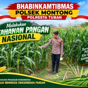 Polsek Montong Polresta Tuban Turun Cek Tanaman jagung Warga di Desa Pakel