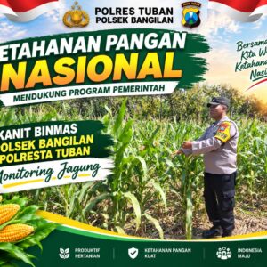 Polsek Bangilan Dukung Ketahanan Pangan Nasional melalui Monitoring Tanaman Jagung