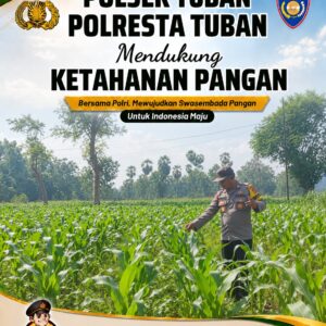 DUKUNG KETAHANAN PANGAN, ANGGOTA POLSEK PARENGAN POLRESTA TUBAN LAKSANAKAN SAMBANG DAN PENDAMPINGAN PANEN JAGUNG DI DESA SENDANGREJO KEC. PARENGAN