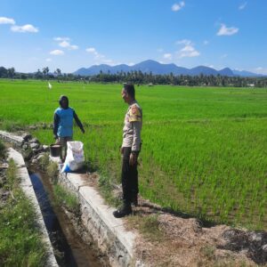 Dukung Ketahanan Pangan Nasional, Bhabinkamtibmas Polsek Utan Sambangi Petani di Desa Motong