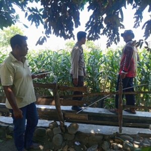 Dukung Ketahanan Pangan Nasional, Bhabinkamtibmas Desa Batu Bangka Sambangi Petani Pengecek Tanaman Jagung