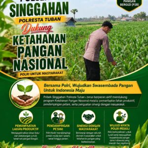 Anggota Polsek Singgahan Polresta Tuban Turun Cek Tanaman jagung Warga di Desa Tingkis