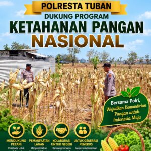Polri Dukung Astacita, Polsek Semanding Polresta Tuban Turun Cek Tanaman jagung milik Warga di Desa Tegalagung