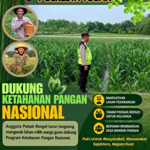 Polri Dukung Astacita, Polsek Rengel Polresta Tuban Turun Cek Tanaman Jagung Warga di Desa Rengel