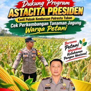 Dukung Program Astacita Presiden, Kanit Binmas Polsek Kenduruan Polresta Tuban Cek Perkembangan Tanaman Jagung Warga