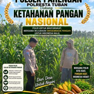 DALAM RANGKA DUKUNG KETAHANAN PANGAN, BHABINKAMTIBMAS DESA NGAWUN SAMBANG DAN DAMPINGI PETANI JAGUNG DI DESA NGAWUN KEC. LARANGAN KAB. TABAN.