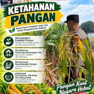Mendukung Program Ketahanan Pangan, Bhabinkamtibmas Monitoring Pertumbuhan Jagung