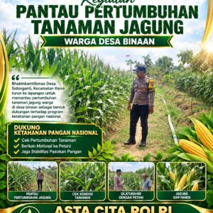 BHABINKAMTIBMAS PANTAU PERTUMBUHAN TANAMAN JAGUNG DI DESA BINAAN