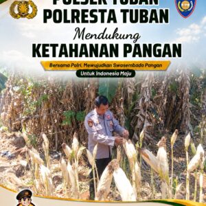 Polsek Tuban Pantau Tanaman Jagung Menjelang Panen, Dukung Ketahanan Pangan Nasional