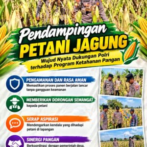 Mendukung Program Ketahanan Pangan, Bhabinkamtibmas Monitoring Pertumbuhan Jagung