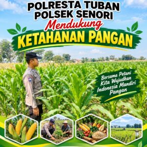 Dukung Program Asta Cita Presiden, Anggota Bhabinkamtibmas Polsek Senori Polresta Tuban Lakukan Pemantauan Tanaman Jagung Warga Desa Jatisari