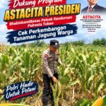 Dukung Program Astacita Presiden, Bhabinkamtibmas Polsek Kenduruan Polresta Tuban Cek Perkembangan Tanaman Jagung Warga .