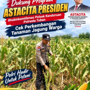 Dukung Program Astacita Presiden, Bhabinkamtibmas Polsek Kenduruan Polresta Tuban Cek Perkembangan Tanaman Jagung Warga .