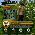 Anggota Polsek Singgahan Polresta Tuban Turun Cek Tanaman jagung Warga di Desa Mulyoagung