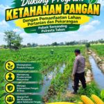 Polri Dukung Astacita, Polsek Semanding Polresta Tuban Turun Cek Tanaman jagung milik Warga di Desa Tegalagung