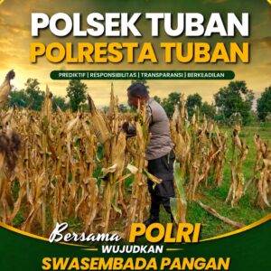Polsek Tuban Pantau Tanaman Jagung Menjelang Panen, Dukung Ketahanan Pangan Nasional