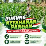 Dukung Asta Cita, Polsek Jatirogo Turun Langsung Pantau Ladang Jagung Warga Desa Ketodan