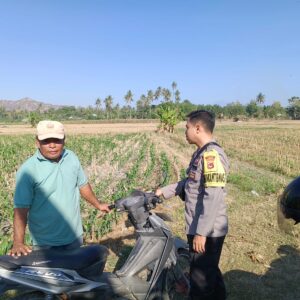 Dukung Ketahanan Pangan Nasional, Bhabinkamtibmas Desa Lekong Sambangi Petani Jagung dan Sosialisasikan Pekarangan Pangan Bergizi