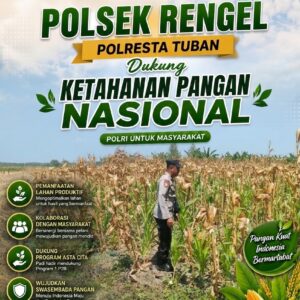 Polri Dukung Astacita, Polsek Rengel Polresta Tuban Turun Cek Tanaman Jagung Warga di Desa Sawahan