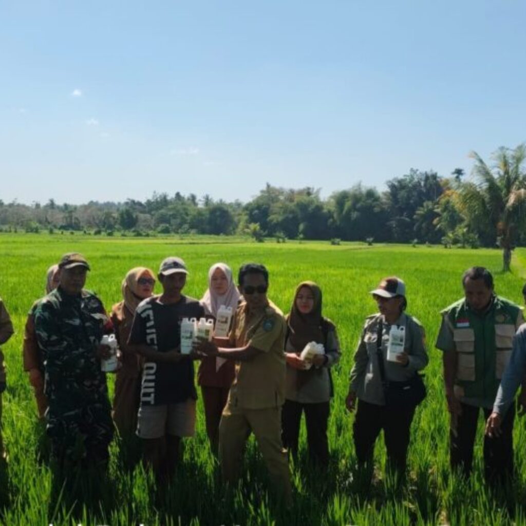 Babinsa Kuripan Utara Dampingi Gerdal Pupuk Hayati Petani